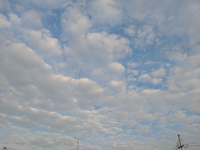 変わりゆく日々だ。 2024/06/22 16:33:09