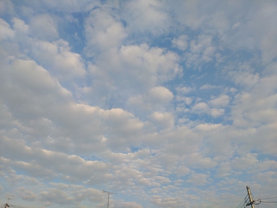 変わりゆく日々だ。