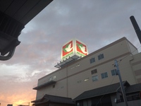 たそがれに大看板の鳩 2024/06/26 19:59:14