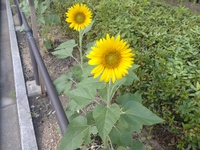 またひとつ完了した。 2024/07/10 18:56:39