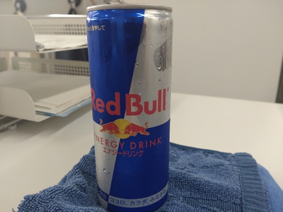 翼を、ください。