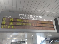「速」と「6」は、お散歩中なりー。 2024/08/10 18:19:24