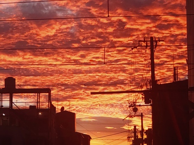真っ赤な空の彼方に。