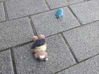 落とし主さんの元に帰れますように…。 2024/11/30 19:05:21