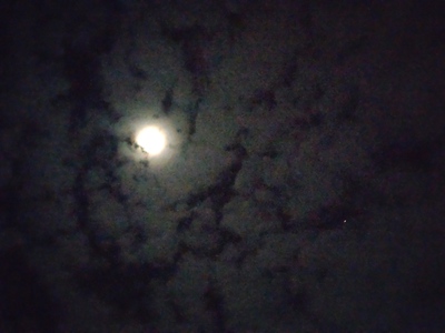 長い一日は冬至の夜なり。