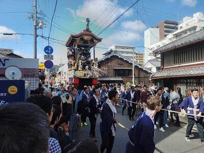 秋晴れの中、タヌキ舞う！
