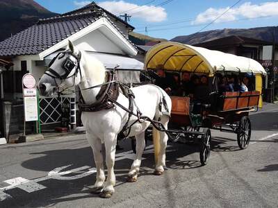 大分・由布院へ夫婦旅（昔話）