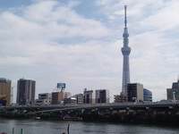 みーんな、過去の想い出さ。 2024/09/13 18:35:35