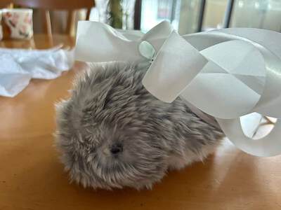 あれから1年…いや31年か。