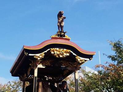 七年…生きた。