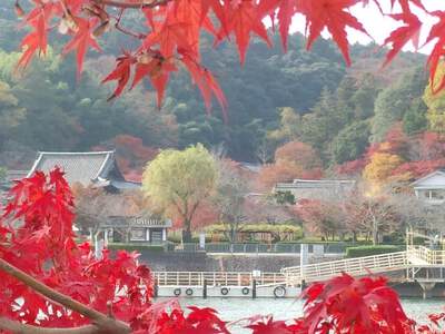 3年前の「石山寺」は。