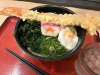 この「うどん」の名前は？ 2025/01/08 18:13:24