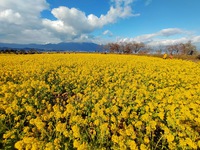 ここに置いておこう･･･。 2025/01/19 17:28:03