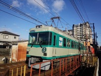 レトロな京阪電車とぷくぷく鳥たち。 2025/02/04 18:29:12