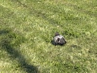 私も、うずくまりたい。