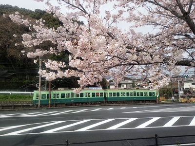 お花見したくて走ったのに！