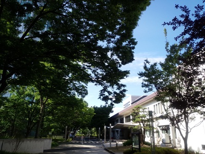 小鳥がさえずりツバメが舞う朝。