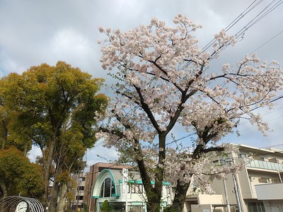 撮りたくなってしまうんだ。