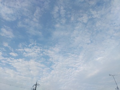 おはよう、9月。