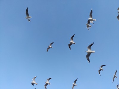 空も飛べるはず。