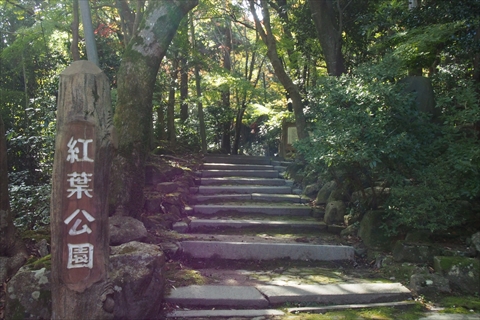 東近江市“観音正寺”“瓦屋寺”“紅葉公園”“藤井彦四郎邸”今日の紅葉情報