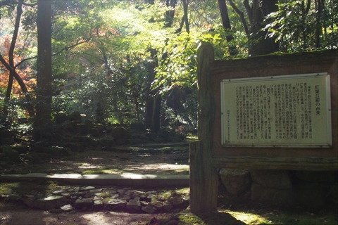 東近江市“観音正寺”“瓦屋寺”“紅葉公園”“藤井彦四郎邸”今日の紅葉情報