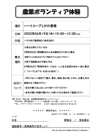 最新情報