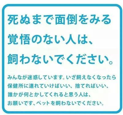 ペット 飼え なくなっ た 場合 クリアランス