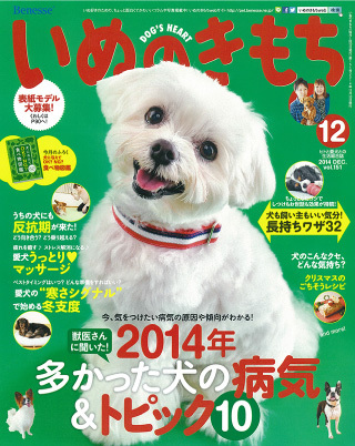 いぬのきもち