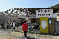今年も「谷川水産」さんへ！牡蠣食べ放題！