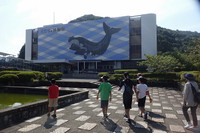 串本へ！　前編 ～ クジラと泳ぐ！？