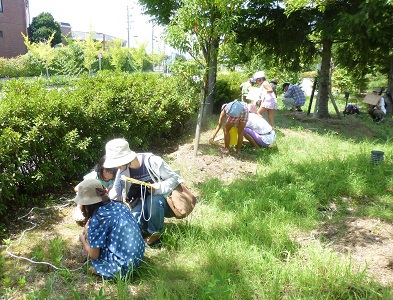 のやまであそぼう　8月のおしらせ