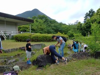 自然と遊ぼ！6月