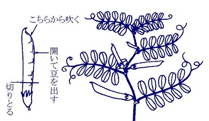 のやまであそぼう５月　その２