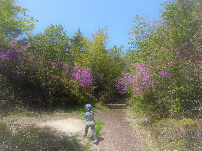 のやまであそぼう　４月