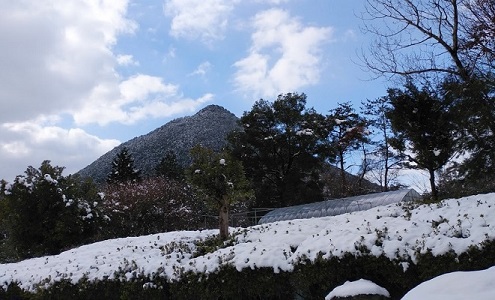 のやまであそぼう　1月