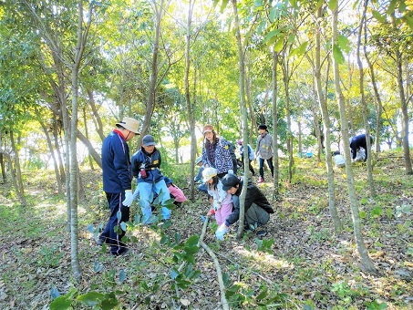 11月　のやまであそぼう②