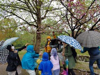 4月の”自然とあそぼ”