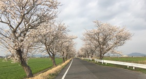 のやまであそぼう　4月