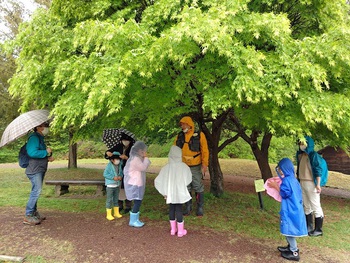 4月の”自然とあそぼ”