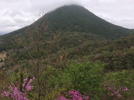 春休み”のやまであそぼう”　山歩き編