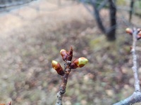 こんにちは　今日は2月10日です。