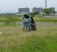 やすまるひろば２０１３