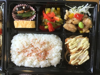 6月6日 レディース弁当