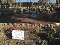 和邇公園の花壇