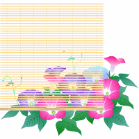 朝顔