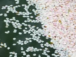 飛花落花