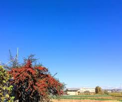 冬空