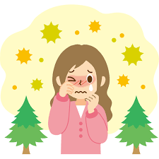 杉の花