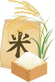 今年米